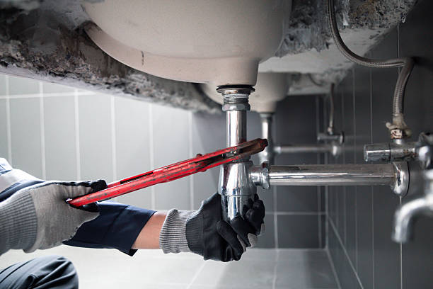 Trusted Garbage Disposal Repair service in Luna Pier, MI - AAA Plumbing Heating